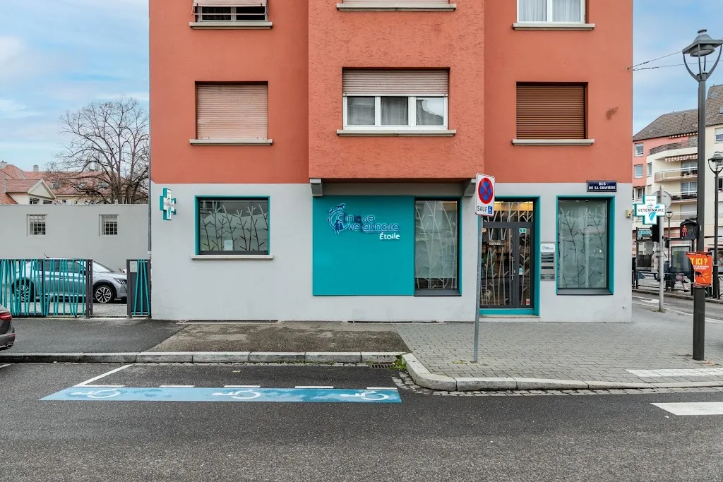 Clinique Vétérinaire Argos Strasbourg les Platanes - photo 3