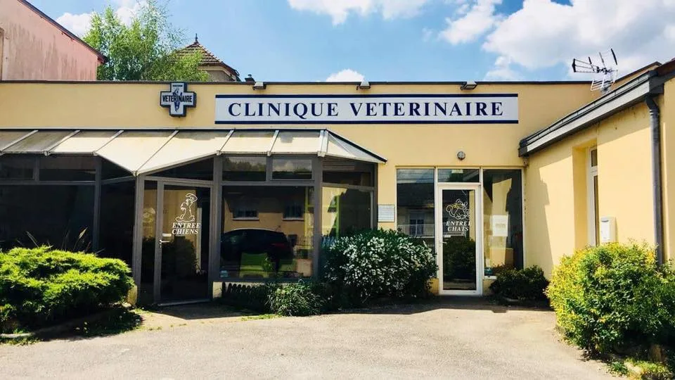 Clinique Vétérinaire C Rousiers - photo 3