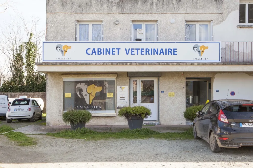 Cabinet vétérinaire aleria - photo 3