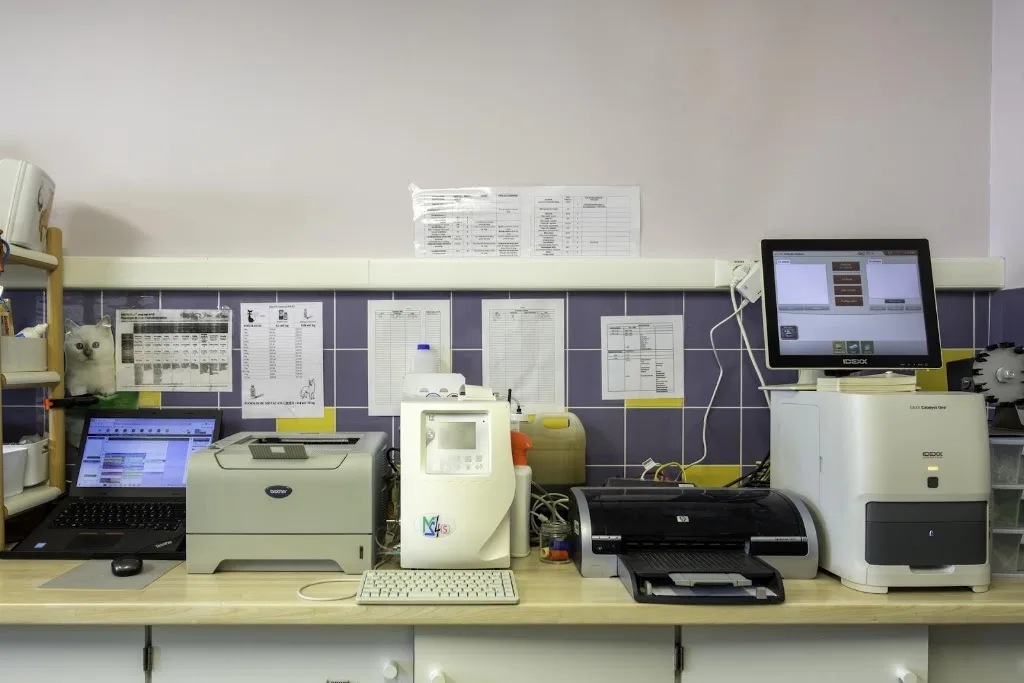 Clinique vétérinaire du Valasse - Gruchet-le-Valasse - Sevetys - photo 2
