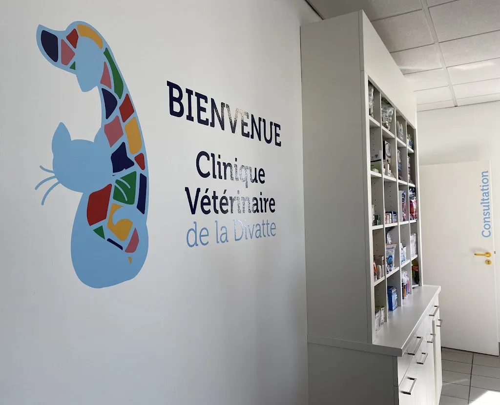 Cabinet SCP Delaunay - photo 2