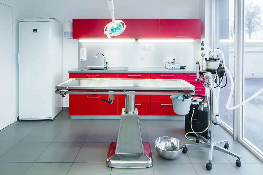 Veterinaire Marie JUILLARD - photo 2