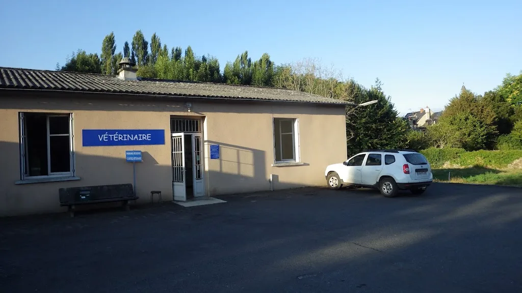 CLINIQUE VETERINAIRE - photo 1