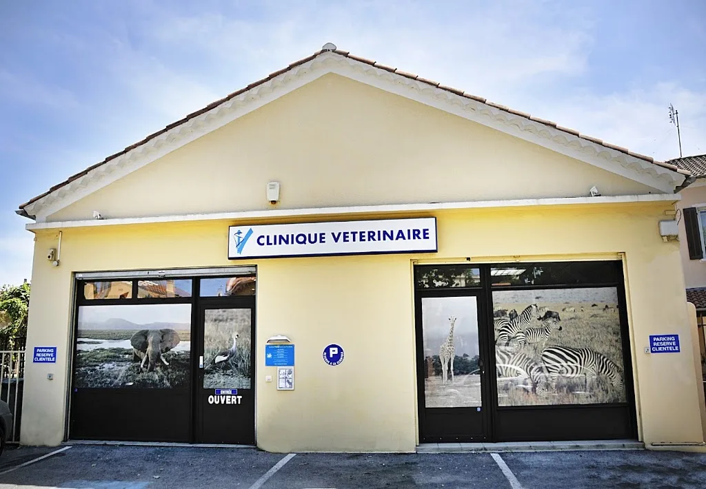 Vetanalys - photo 2