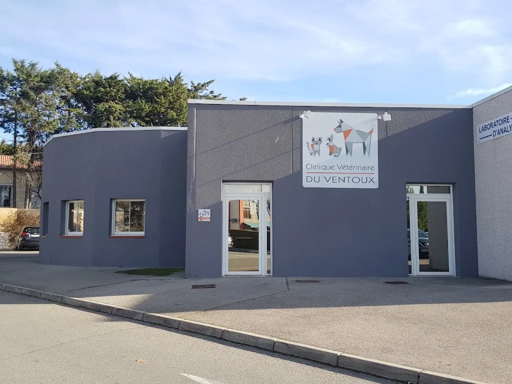 Clinique Vétérinaire Saint Martin - photo 3