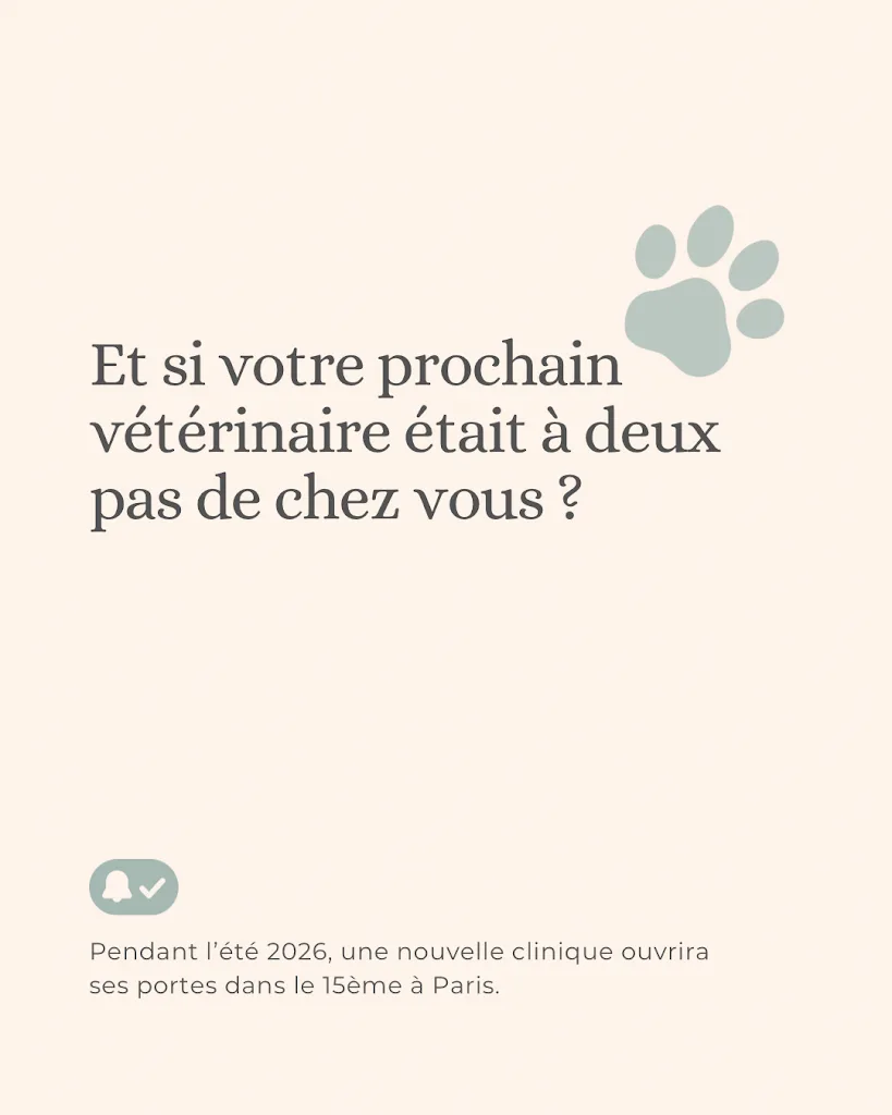 V la Clinique Vétérinaire - photo 3
