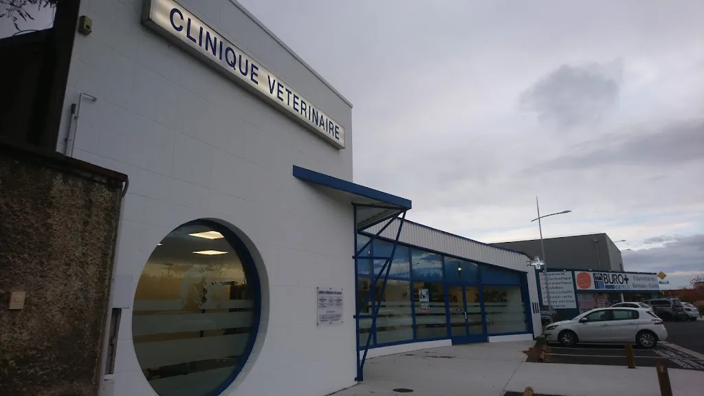 Clinique Vétérinaire St Jean Vauban - photo 2