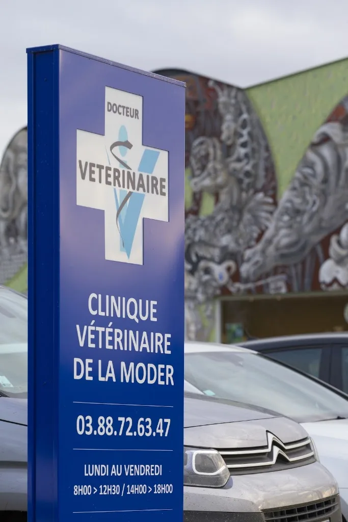 Clinique Vétérinaire du Marché - photo 1
