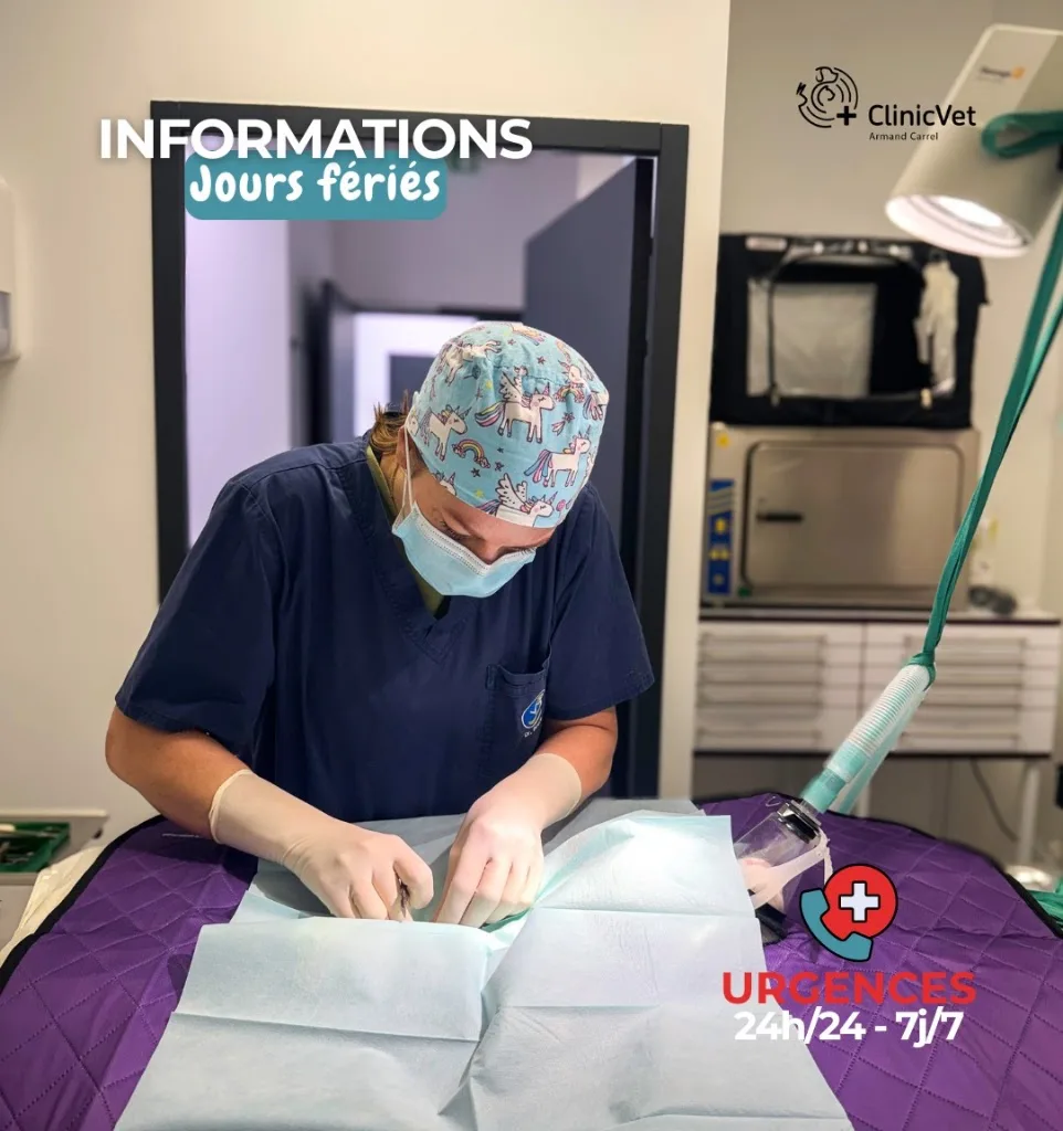 ClinicVet Vétérinaire Armand Carrel - photo 1