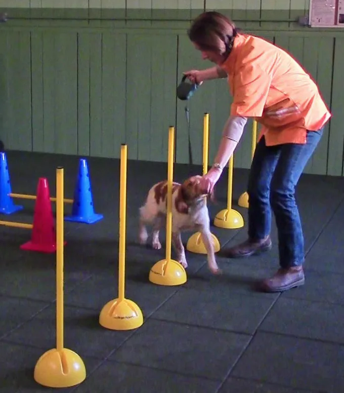 Physiothérapie animale UPRAVET - photo 1