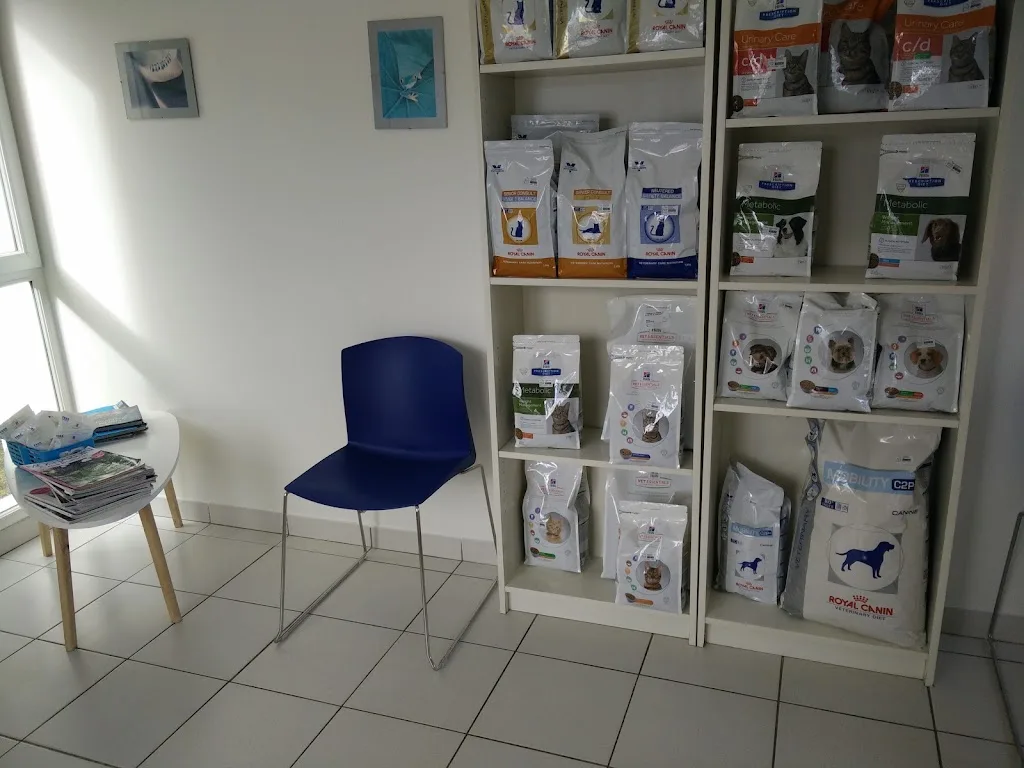 Besnard Andriamanga Lairy - photo 1