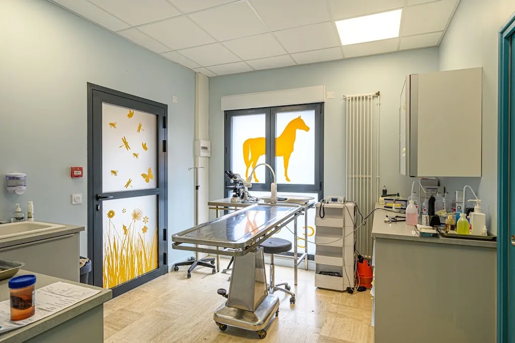 Clinique Vétérinaire Argos Bannalec - photo 2