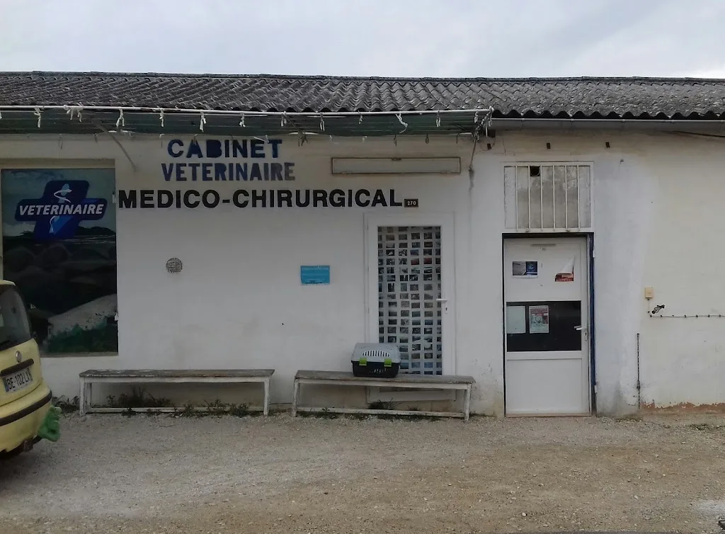 Mme Aumage Helene - Cabinet vétérinaire médico-chirurgical Lapalun - photo 2