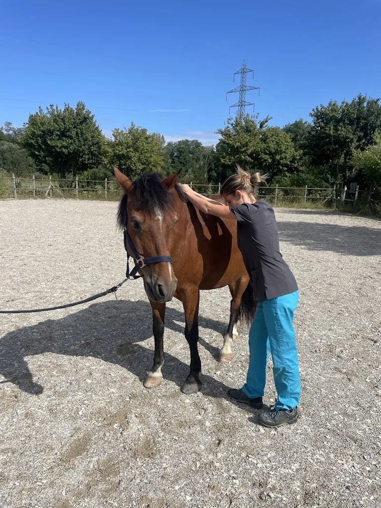 Dr Burdin Celia - photo 2