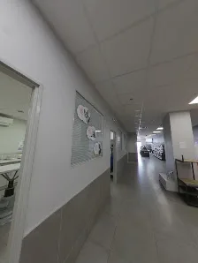 Clinique Vétérinaire Grand Littoral - photo 1