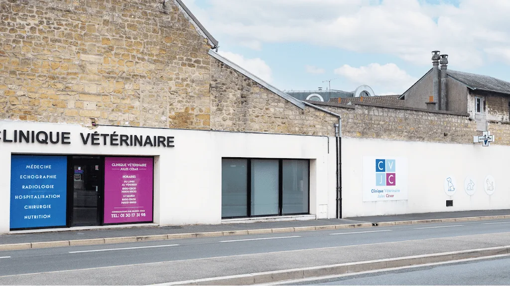 Clinique Vétérinaire des Alizés - photo 2