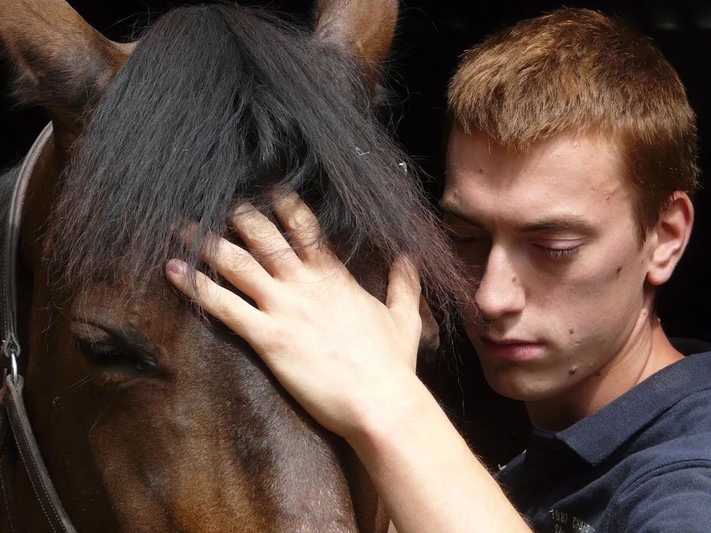 Matthieu Robitaillié - photo 1