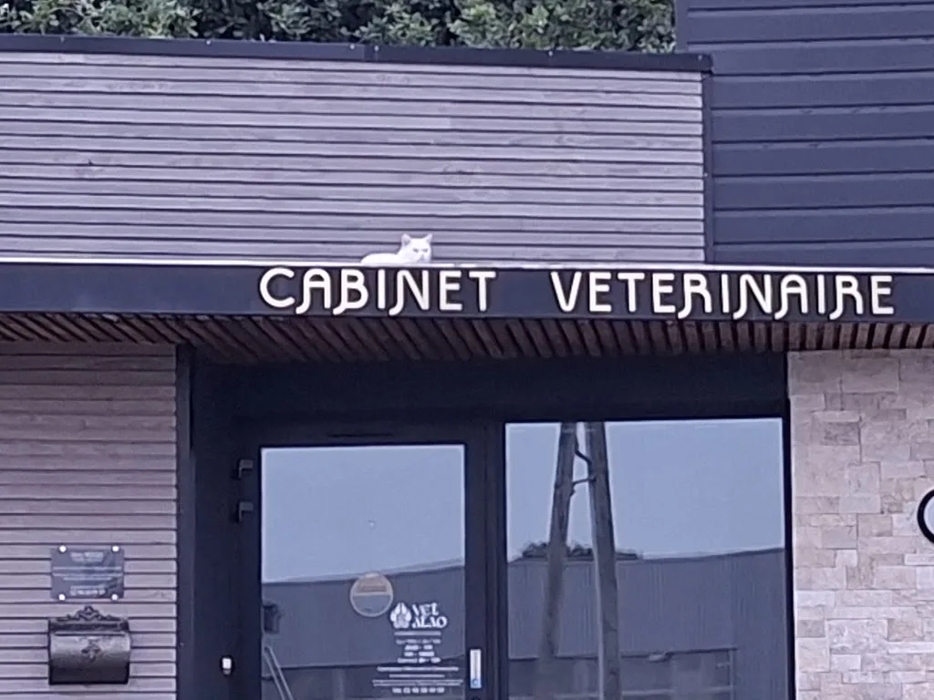 VET ATAO - Cabinet Vétérinaire du Dr Katy ROGEL - photo 2