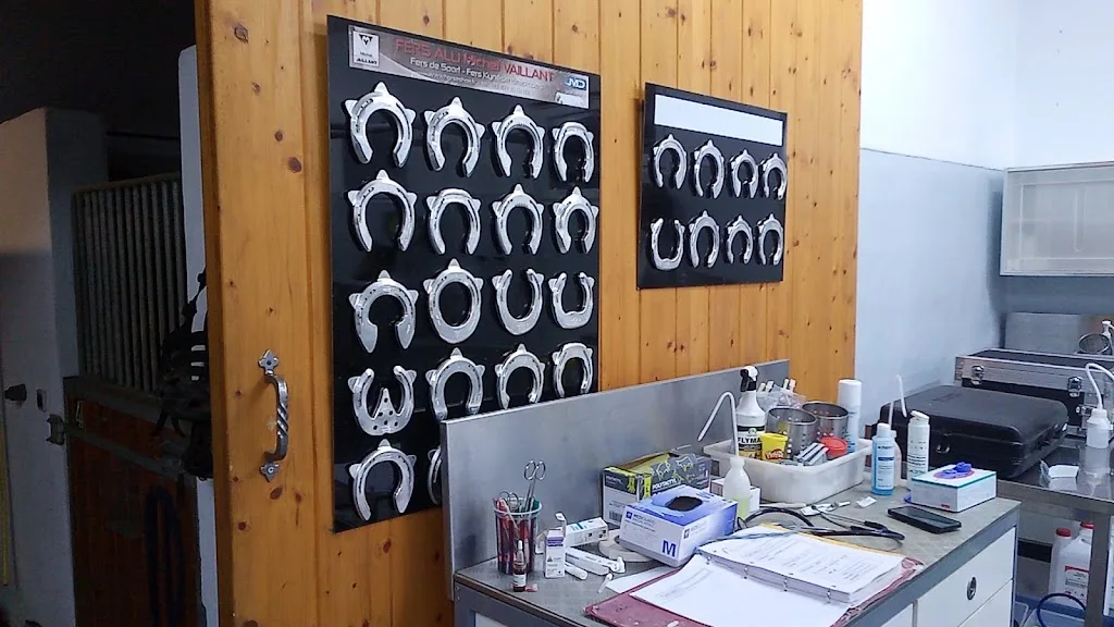 Dujardin Stephanie - photo 3
