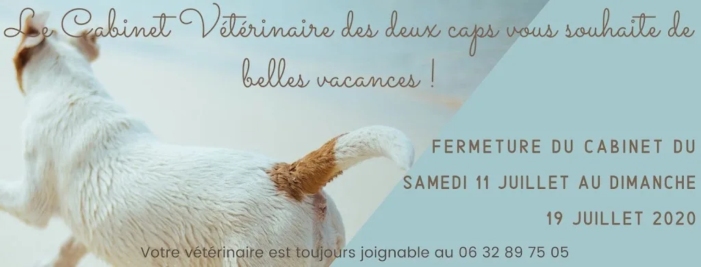 Cabinet vétérinaire des deux caps - photo 1