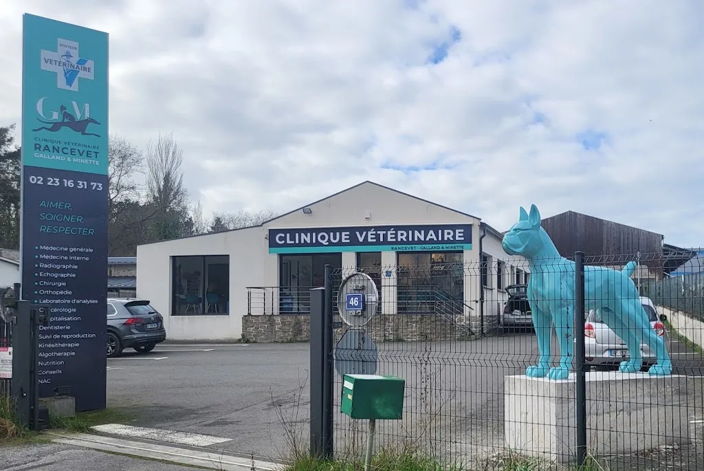 Clinique vétérinaire de Ploubalay - photo 3
