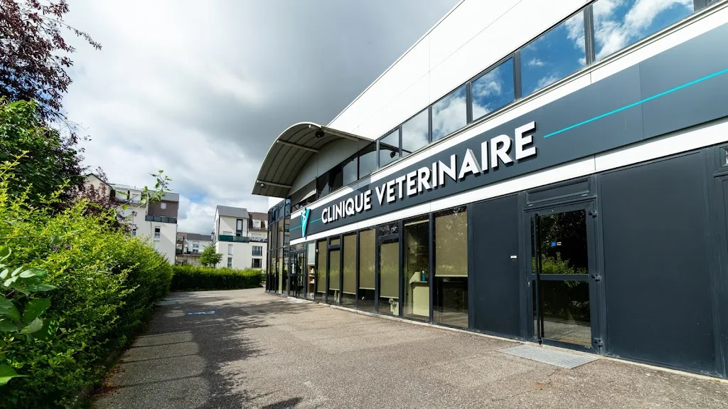 Cabinet Vétérinaire Champmesnil - photo 3
