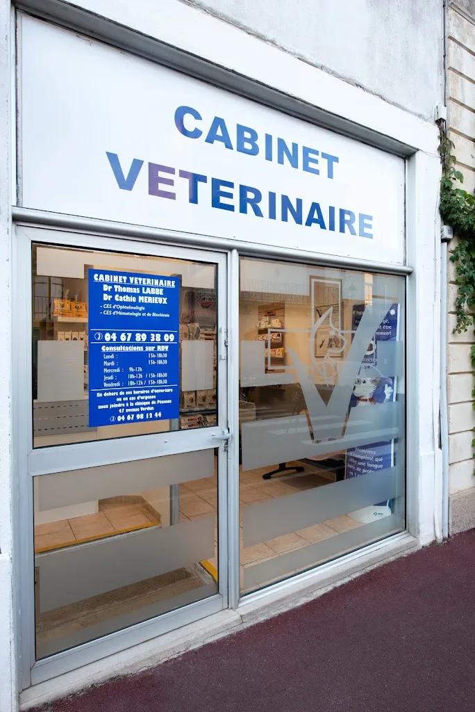 Grand Orb Vet - photo 3