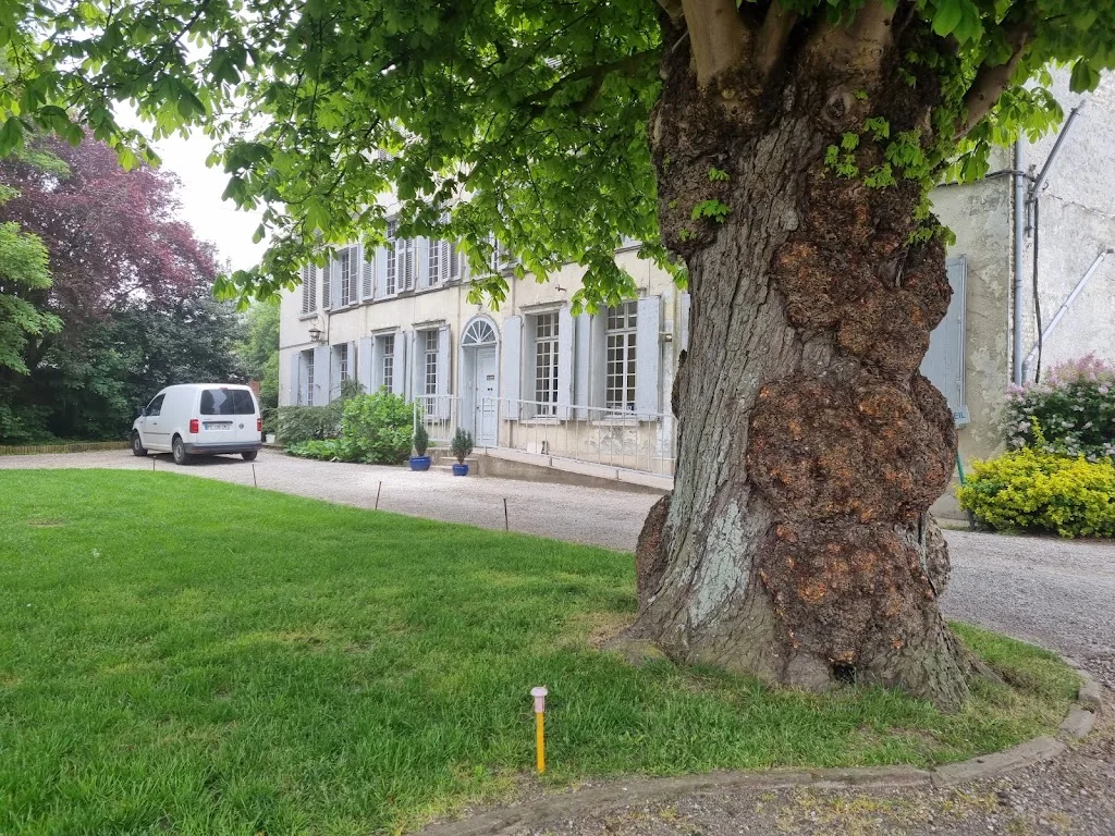 Vétérinaire Remi Ducrot - photo 1
