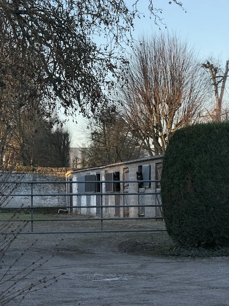 Vétérinaire Remi Ducrot - photo 2