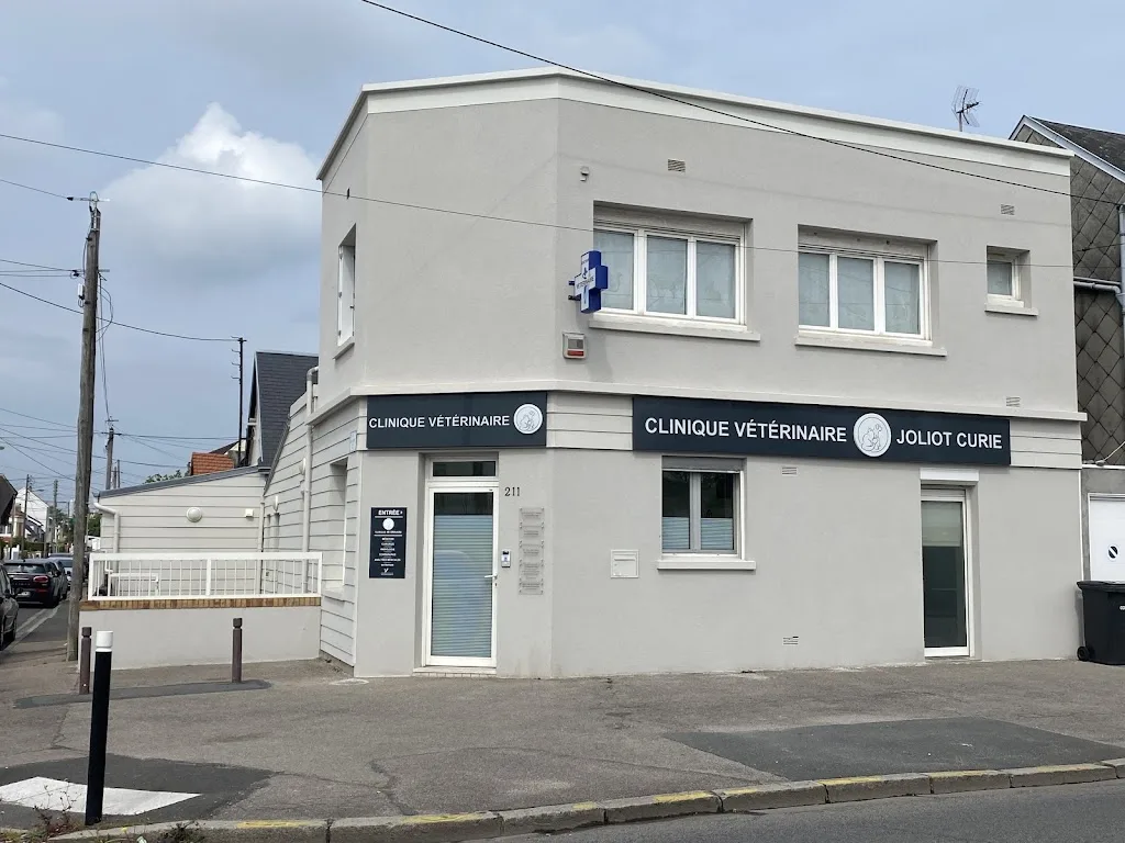 Clinique Vétérinaire Féline Le Havre des Chats - photo 1