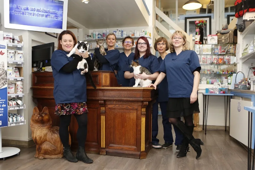 Clinique Vétérinaire Féline Le Havre des Chats - photo 3