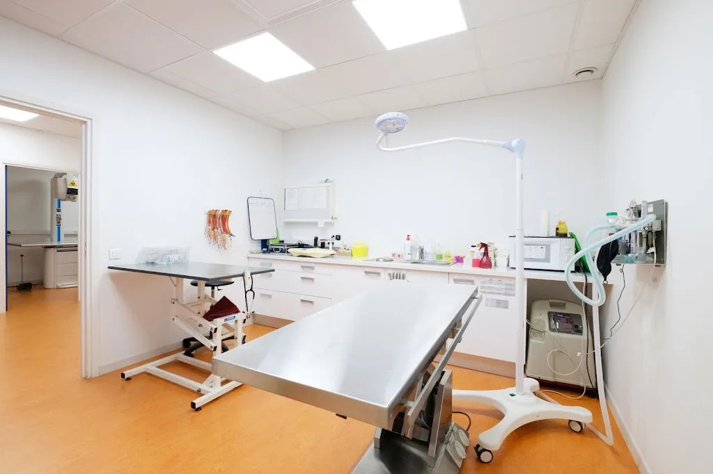 Clinique Vétérinaire My Vet Vallauris - photo 3