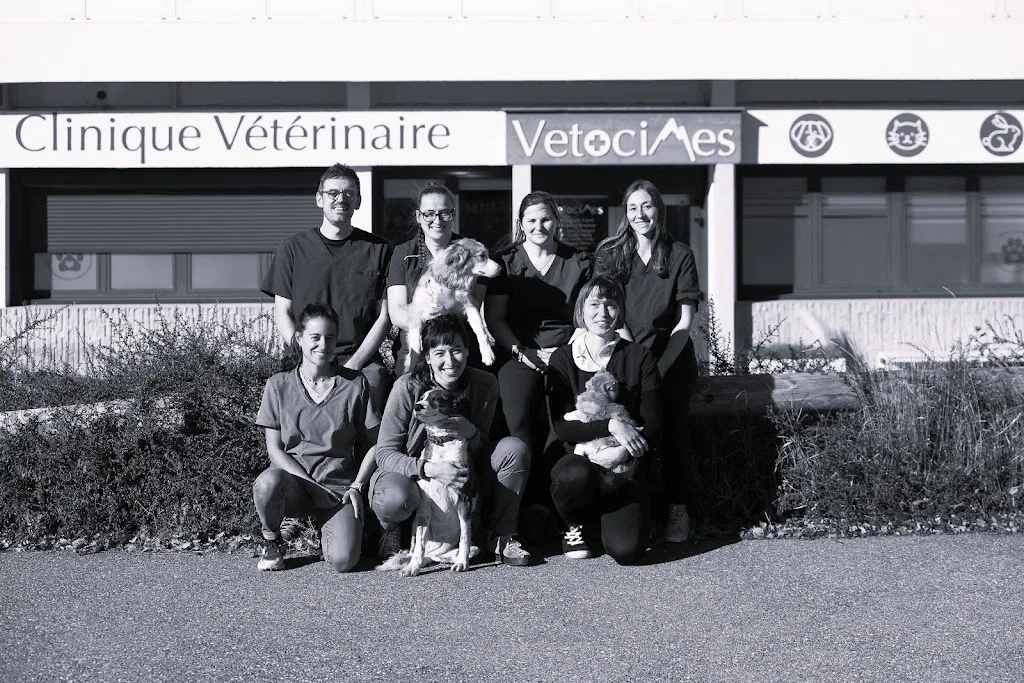 Cabinet vétérinaire des Marmottes Selarl Vet'o Alpin - photo 1
