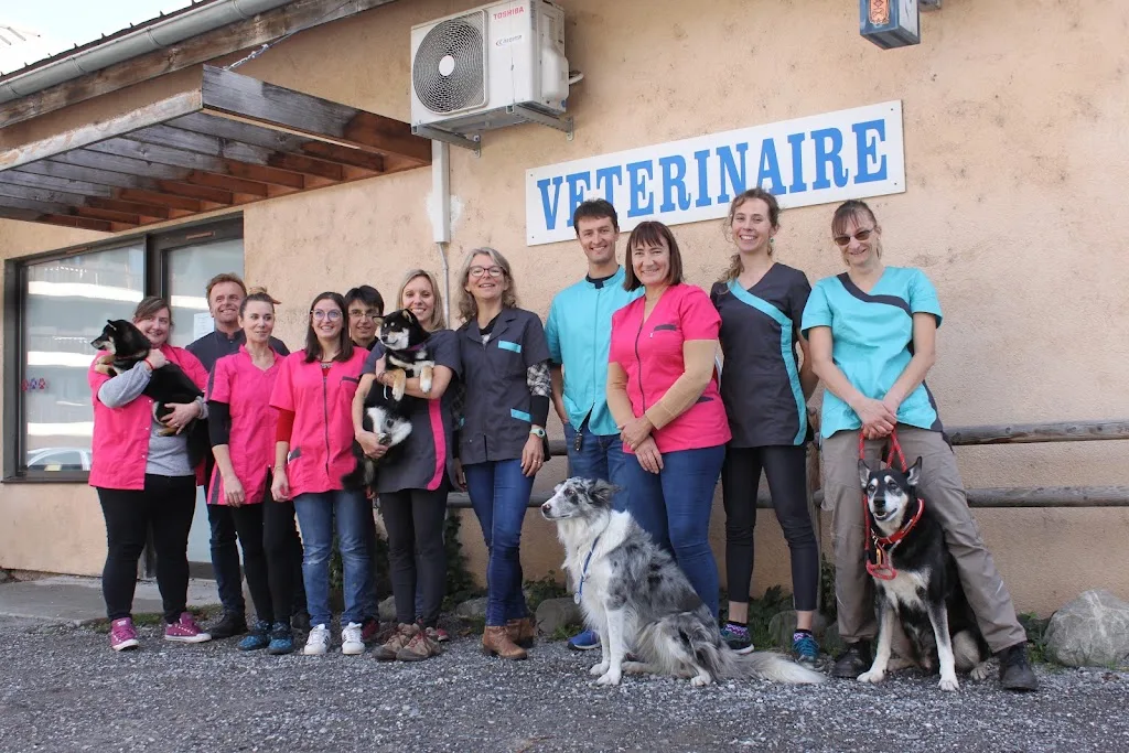 Cabinet vétérinaire des Marmottes Selarl Vet'o Alpin - photo 2