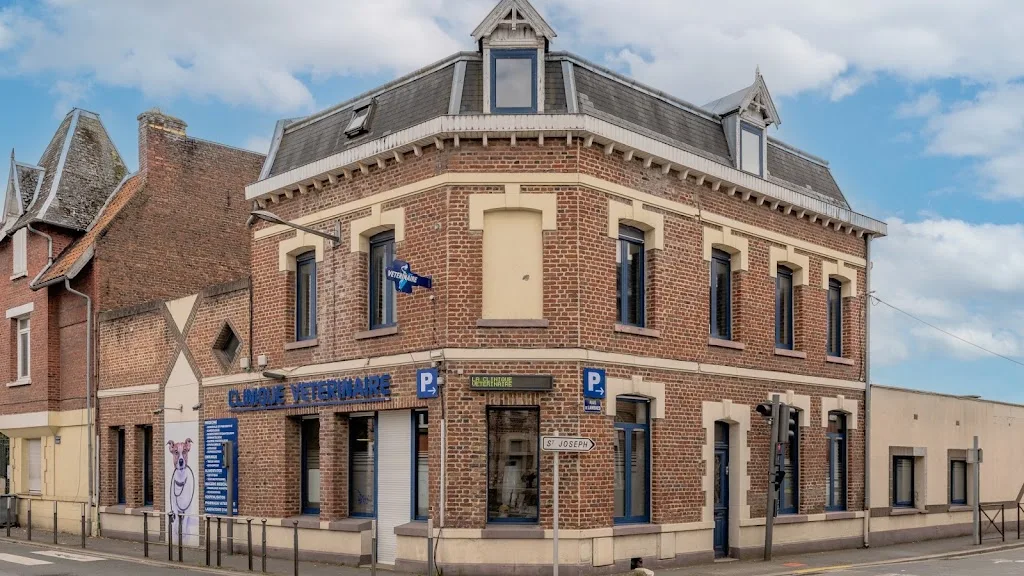 Clinique vétérinaire Renoir - Cuincy - Sevetys - photo 2