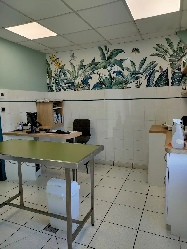Cabinet vétérinaire des Deux Saules - photo 1