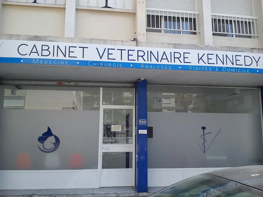 Clinique Vétérinaire des Arcades - photo 1