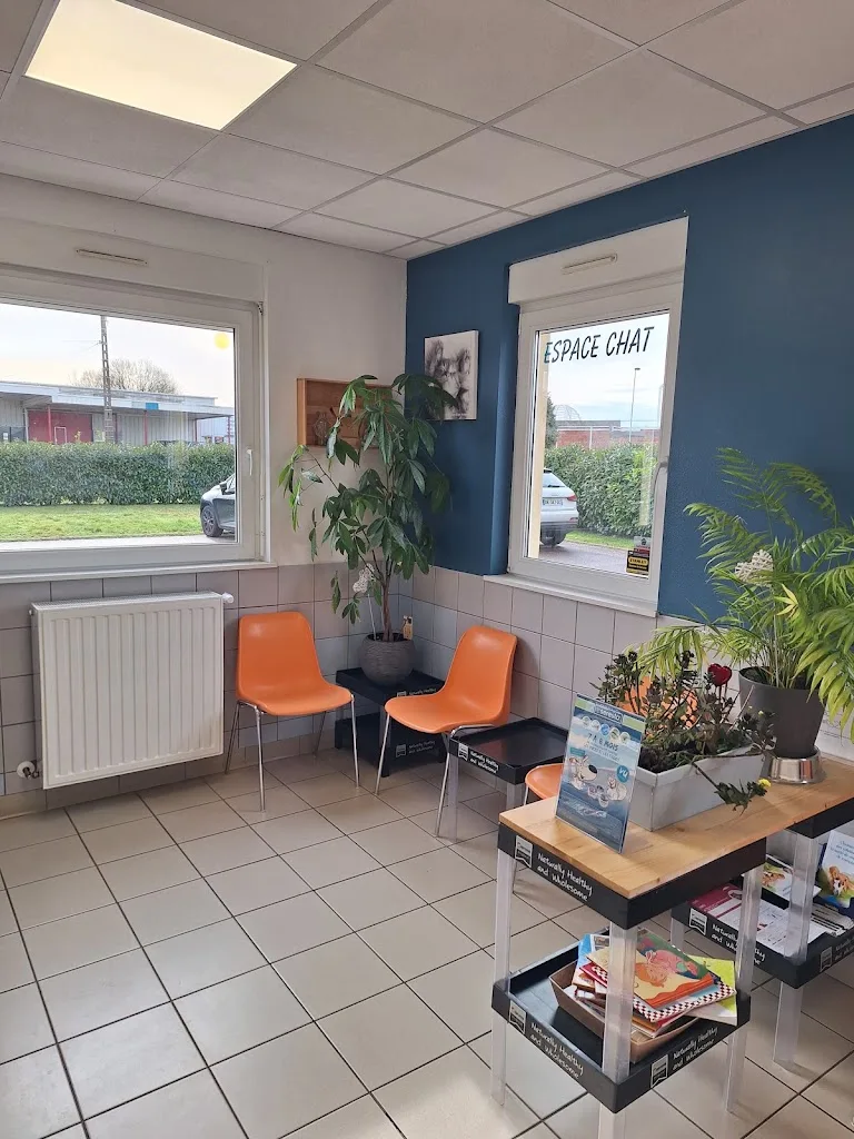 Clinique vétérinaire Cliv&co (clivetco) - photo 2