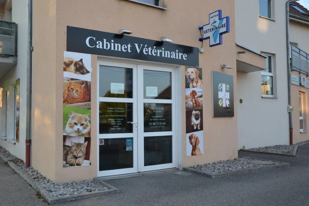 Cabinet Vétérinaire "4 PATTES" Fratczak et Isinger - photo 2