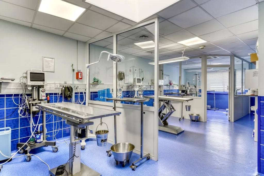 Clinique Vétérinaire Véto Sud - photo 1