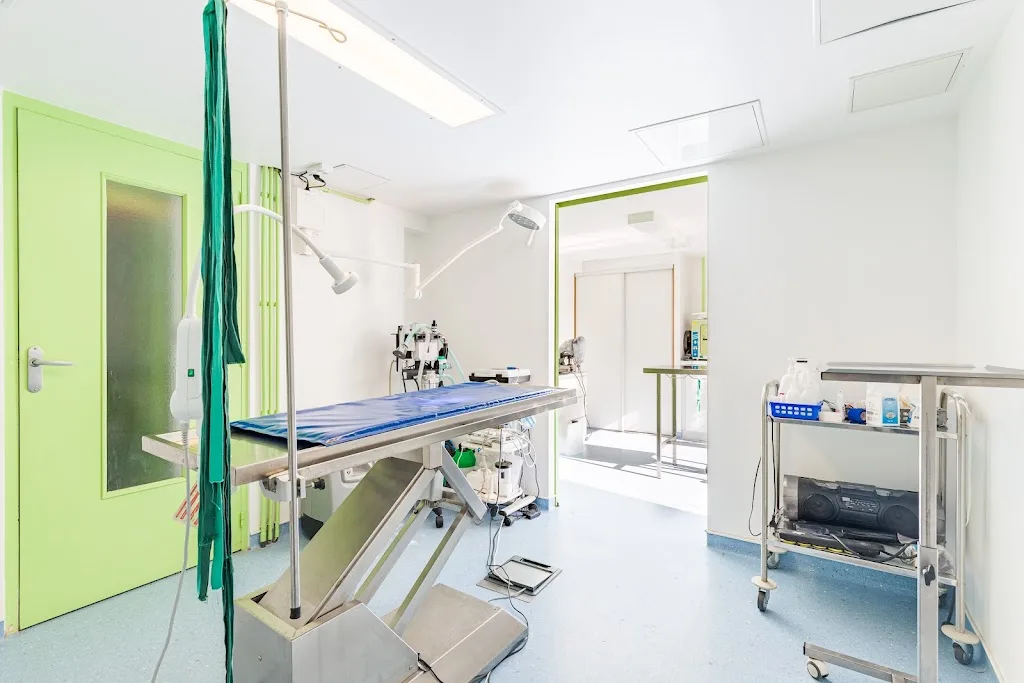 Clinique vétérinaire d'Azay-le-Rideau - Sevetys - photo 1