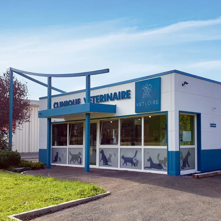 Clinique vétérinaire d'Azay-le-Rideau - Sevetys - photo 3