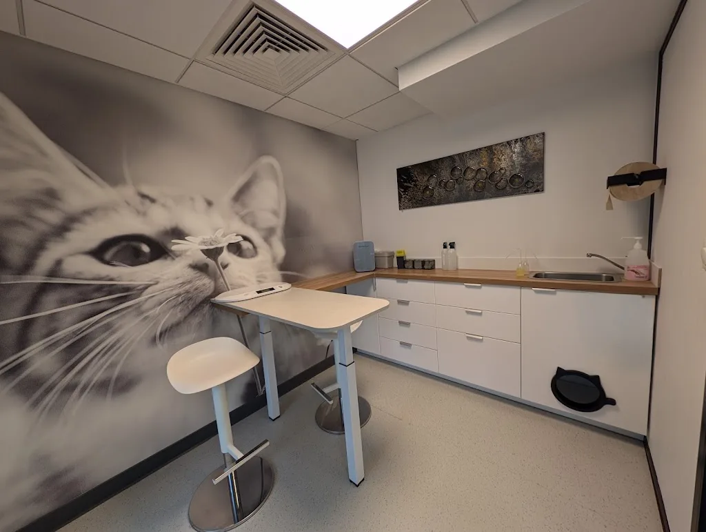 Médichat - Clinique Vétérinaire Féline - photo 2