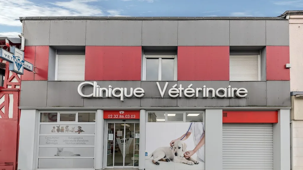 Vétérinaire du Vert Bocage - Franqueville - photo 1