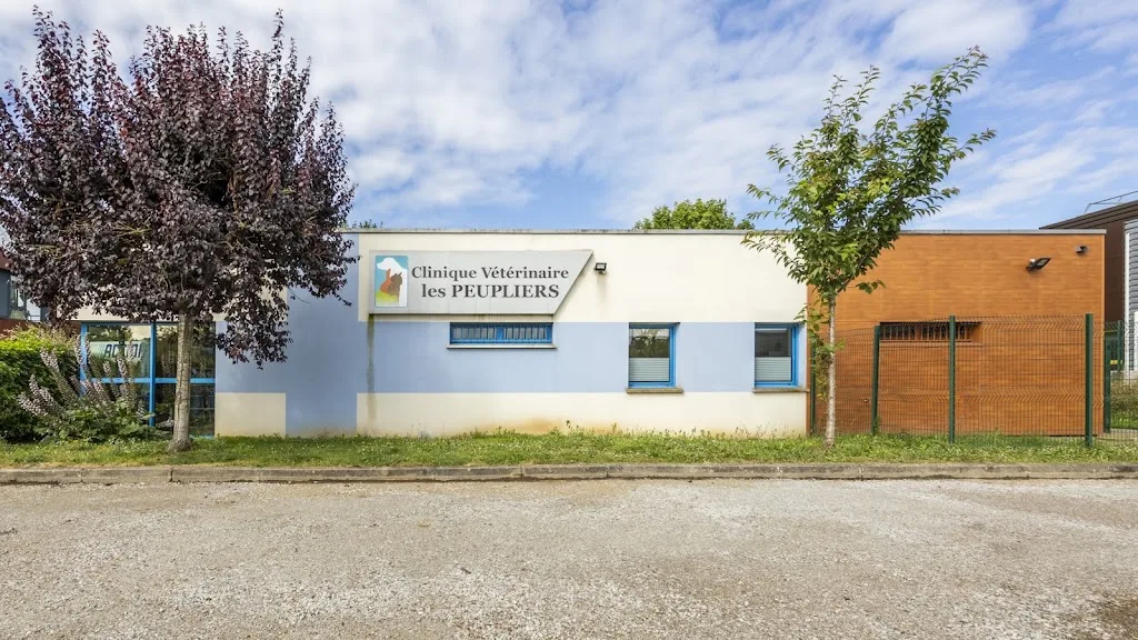 Clinique Vétérinaire Victor Hugo - photo 2