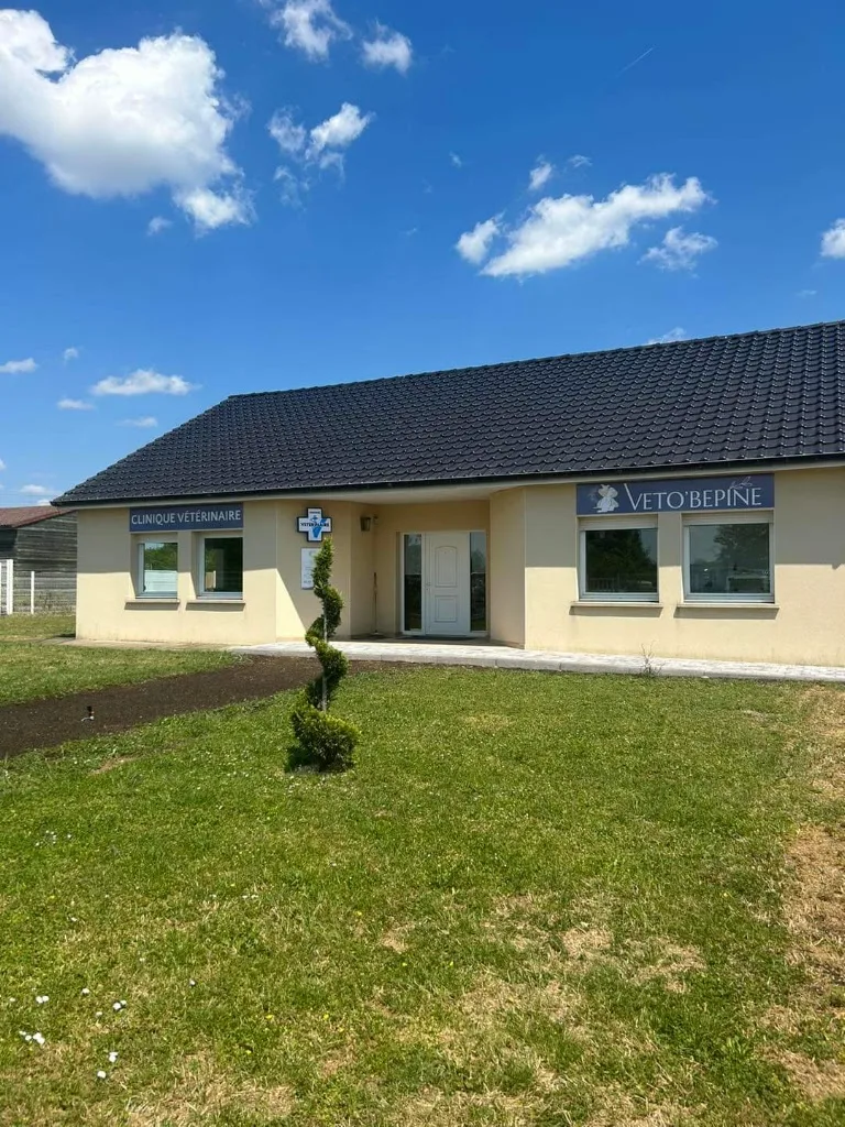 Clinique Veterinaire - photo 1