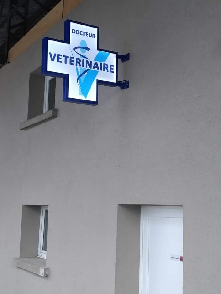 Clinique Veterinaire - photo 3