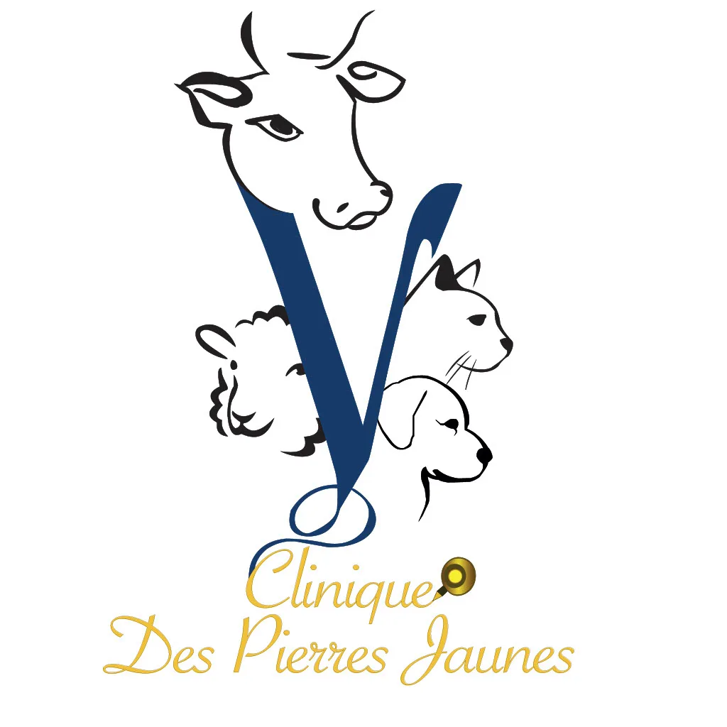 Clinique Vétérinaire des Pierres Jaunes - photo 1