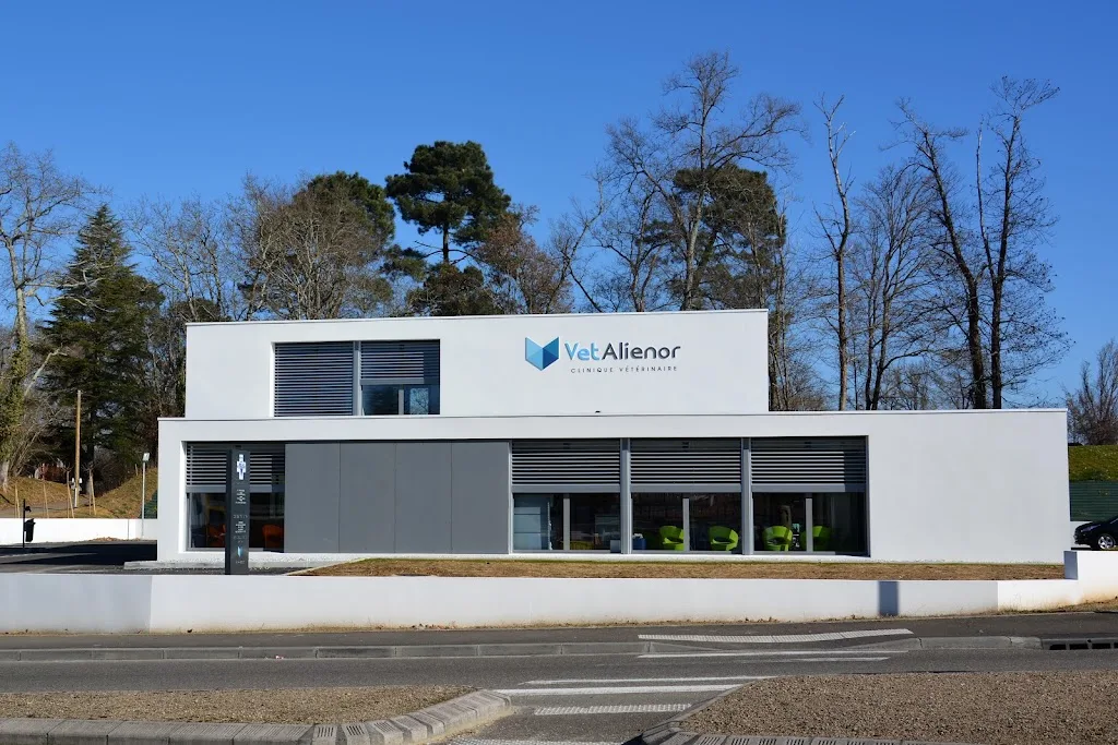 Clinique vétérinaire Vet Alienor - photo 1