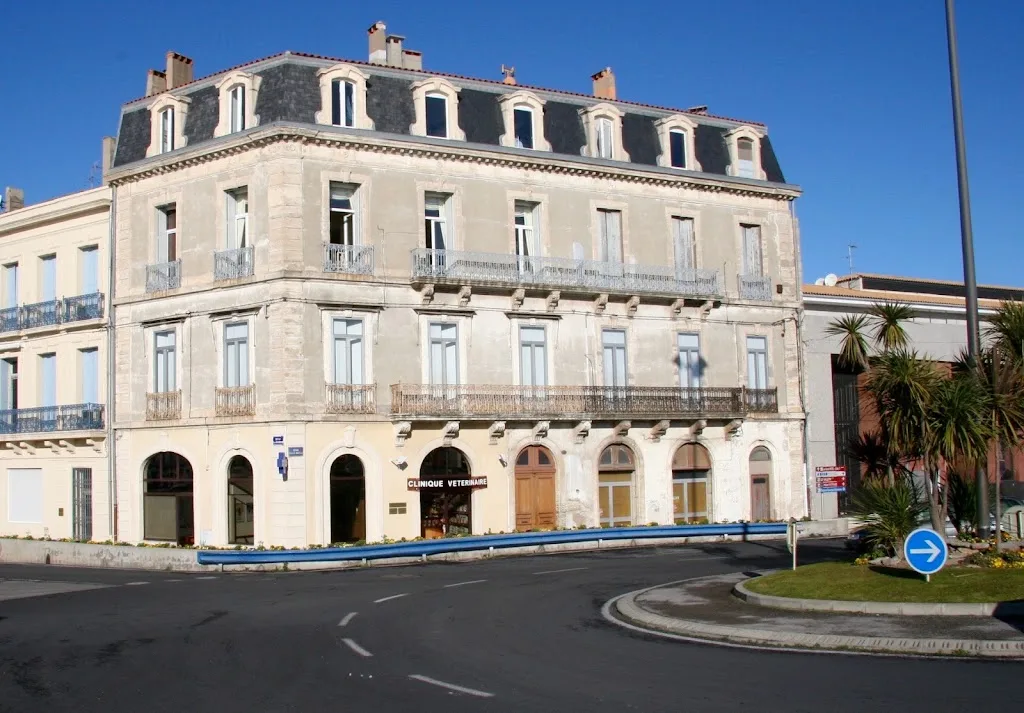 Clinique Vétérinaire la Marseillane - photo 2
